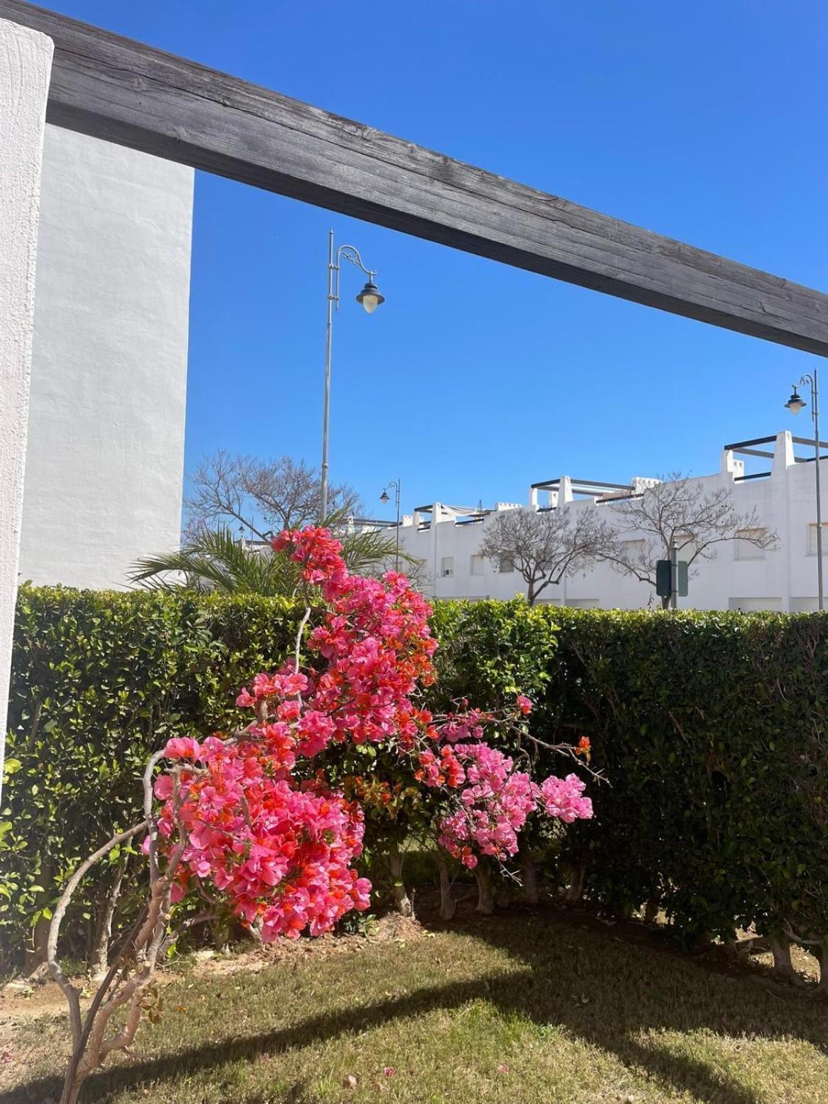 Casa Luisa Jardin 10 Condado De Alhama Apartment Alhama de Murcia Ngoại thất bức ảnh